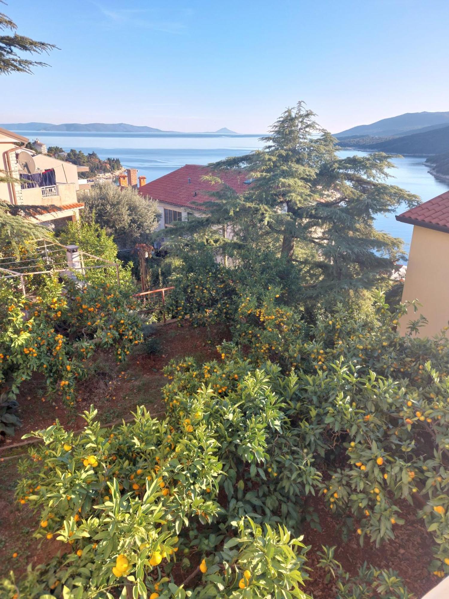 拉巴克Casa Panorama Sunset公寓 外观 照片